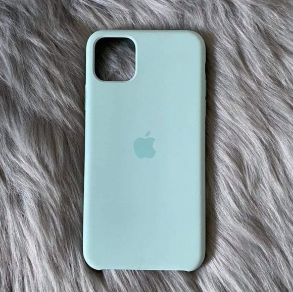 Apple Accessories - iPhone 11 Pro Max Apple Case
